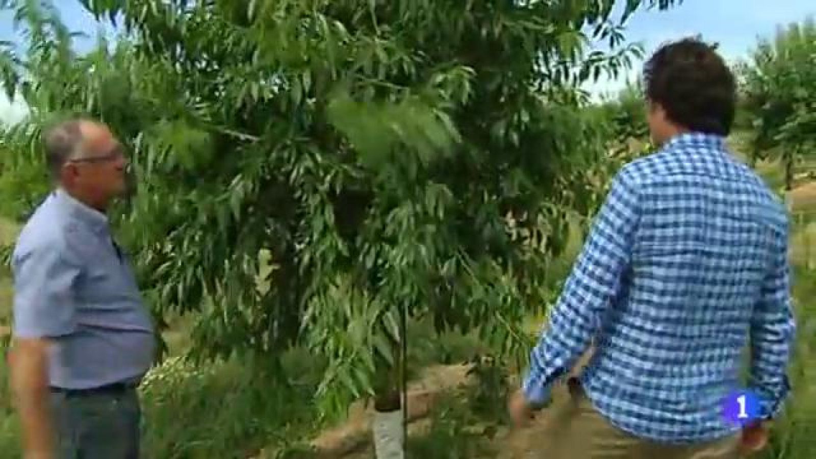 L'informatiu - 29/05/2017