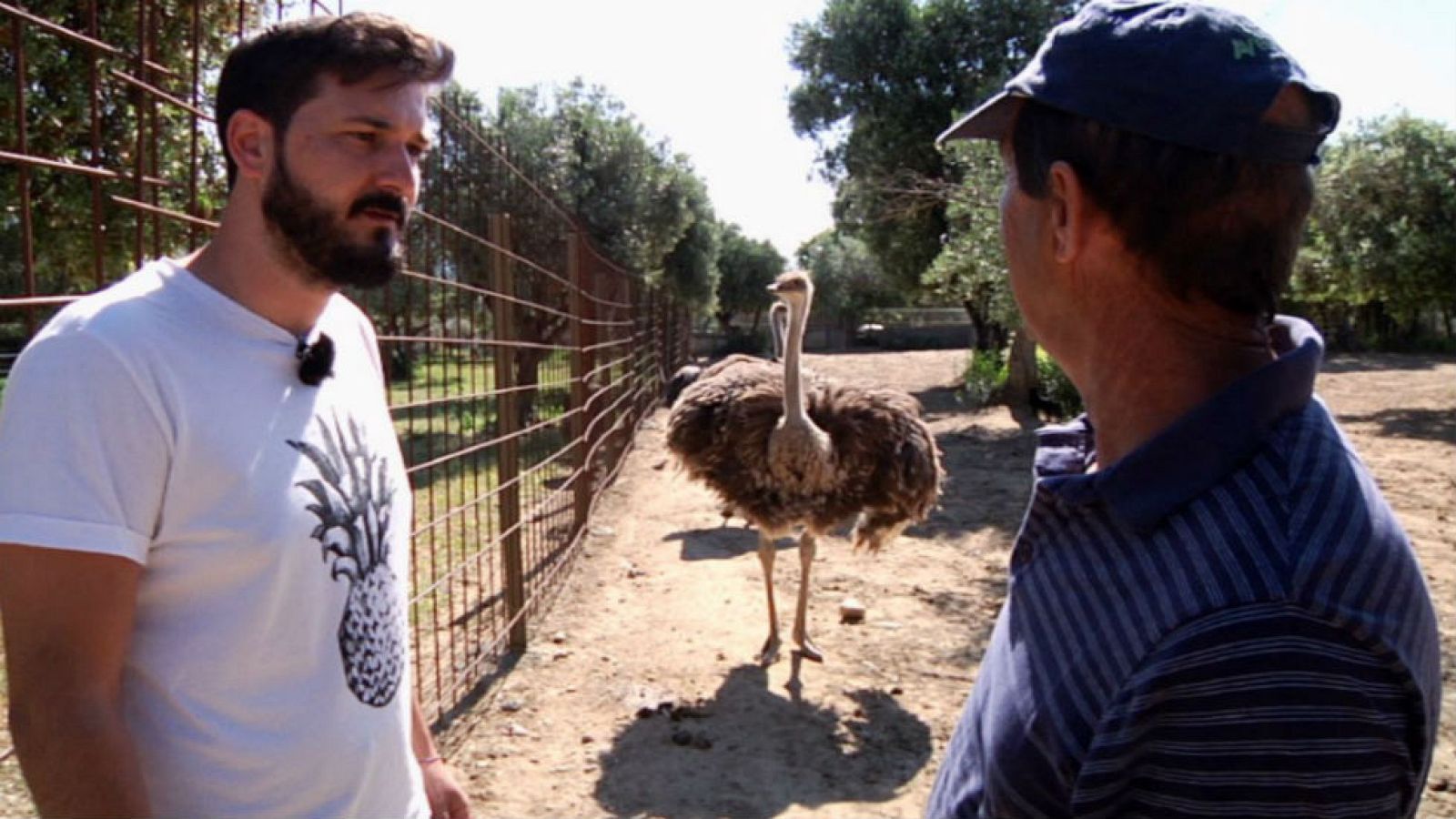 Momento único en la Albufera