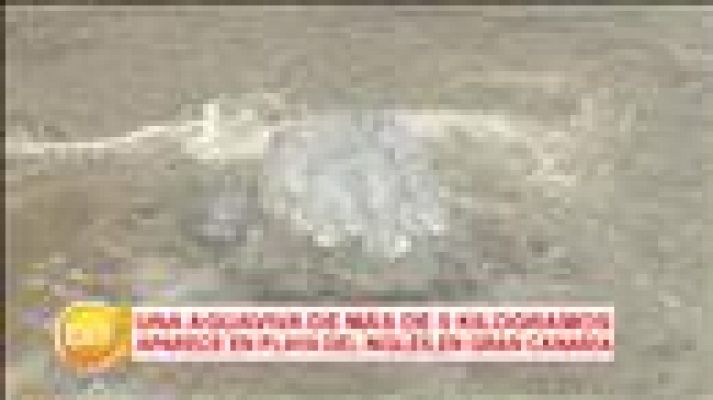 Cerca de ti - Cerca de ti - 29/05/2017