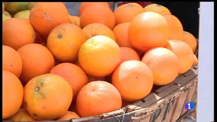 Informatiu Balear - Replanten més de 1.800 tarongers nous a la vall de Sóller