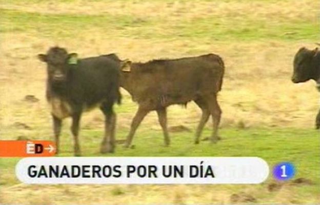 España Directo - Cabeza de Diego  Gómez