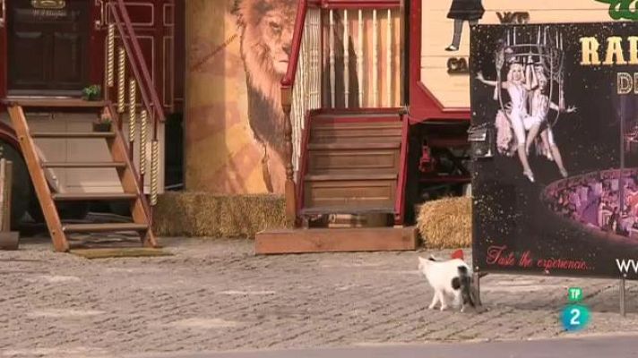 Cinc dies a... - Circ Raluy Legacy