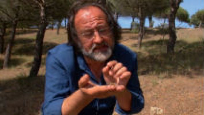 Aquí la Tierra - Luimi y la araña-lobo