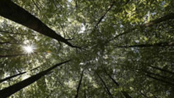 El tiempo - Las temperaturas aumentan y llegarán a 33ºC en el sur  con posibilidad de chubascos en Sistema Ibérico y Pirineos