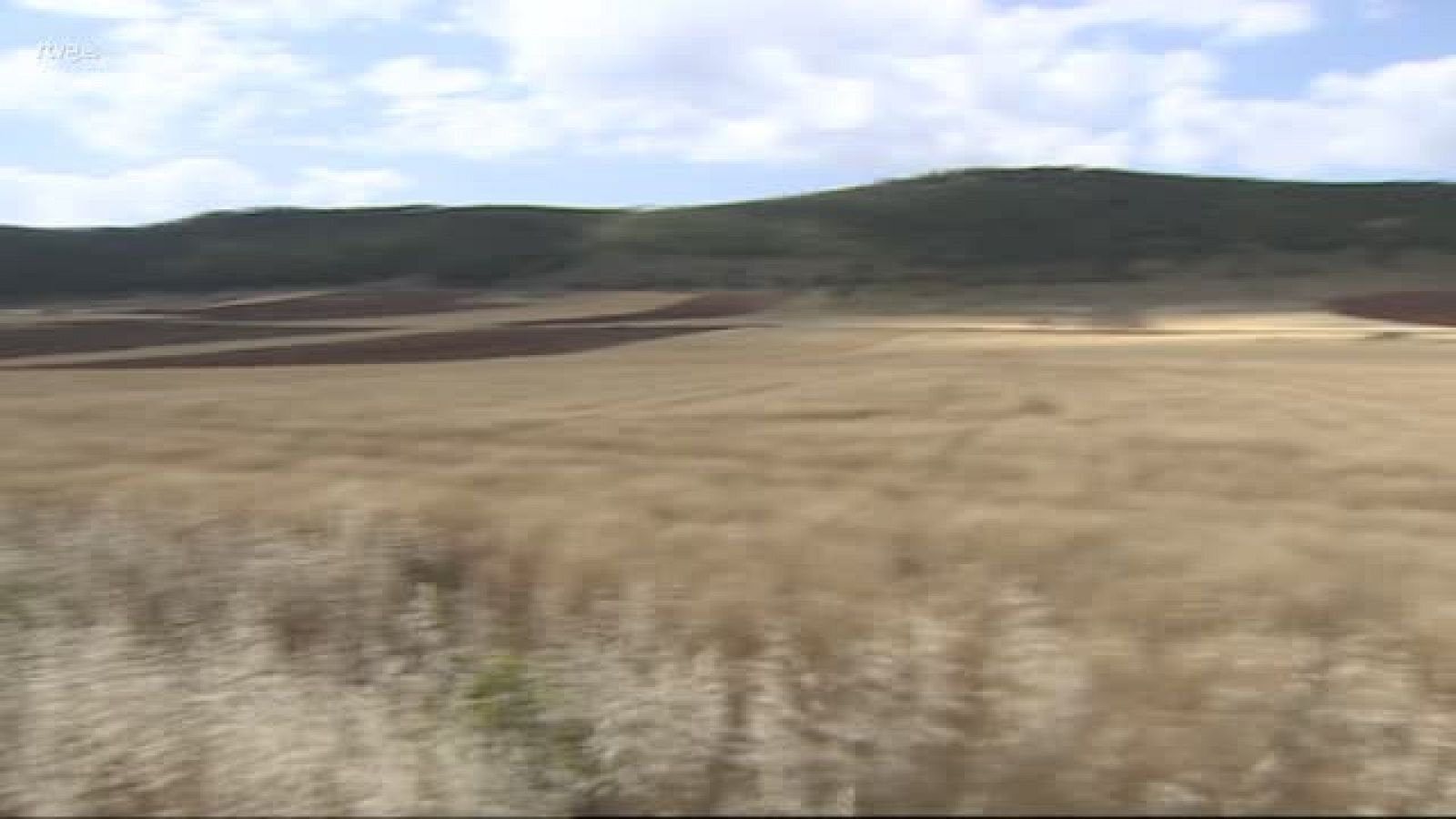 COMPLEJO FOTOVOLTAICO