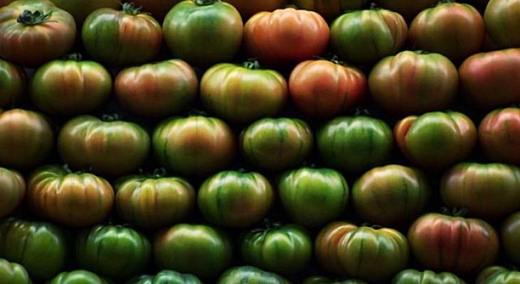 Universo UNED - Programa AVANSECAL