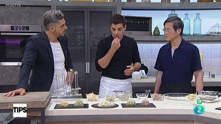 RTVE Cocina - Trucos con germinados