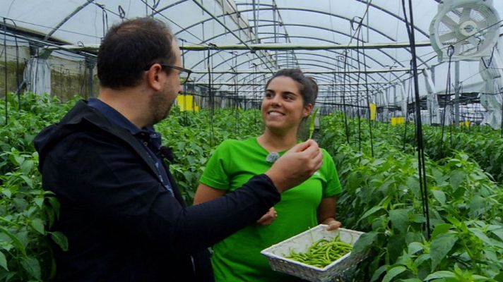 Aquí la Tierra - De la huerta vasca, lo mejor