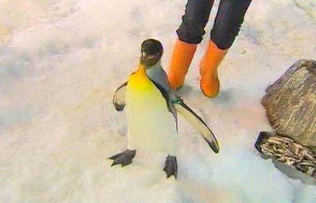 Cámara abierta - Reserva.com