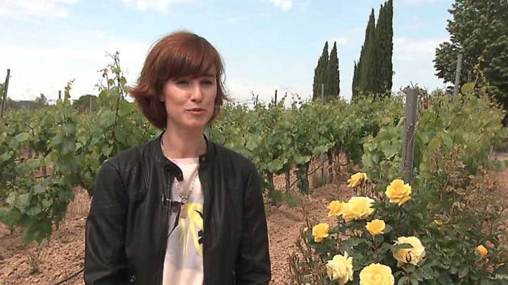 Agrosfera - Agrosfera - 03/06/17