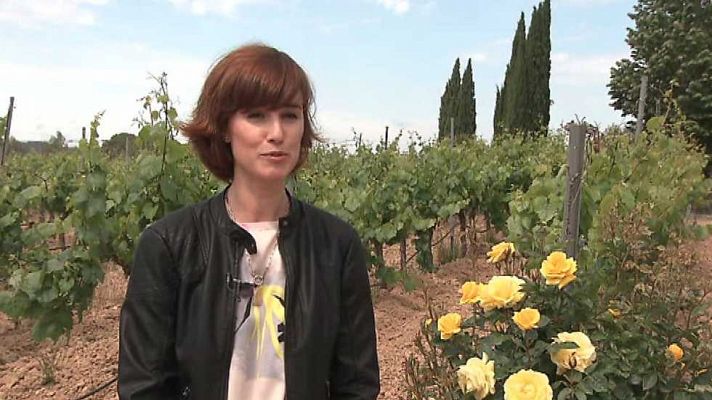 Agrosfera - Agrosfera - 03/06/17