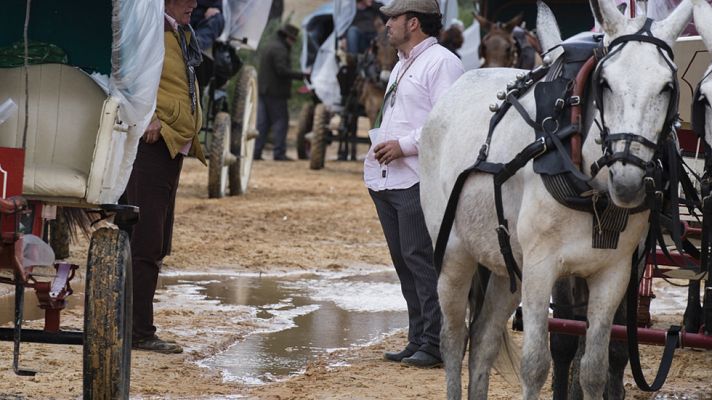 Informativo 24h - Un hombre muere atropellado por una carreta en la Romería del Rocío en Terrassa