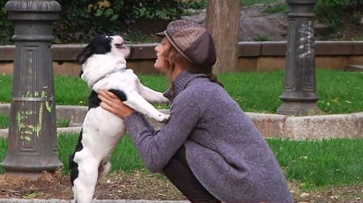 Más que perros y gatos - Capítulo 11