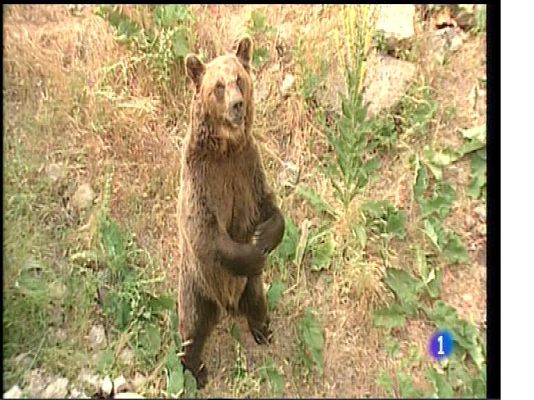 Panorama Regional - Panorama Regional 2 - 05/06/17