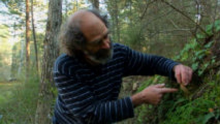 Aquí la Tierra - Plantas, buenas estrategas