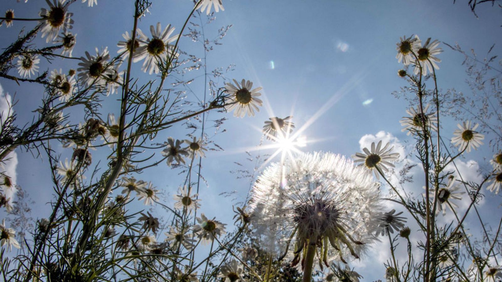 El Tiempo en la Comunidad de Madrid - 06/06/17