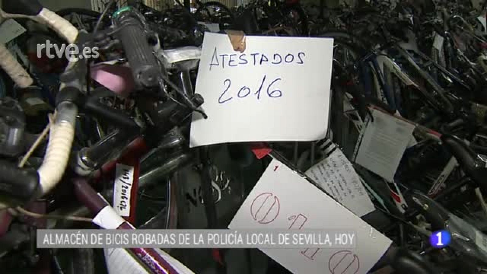 Sin programa: La policía local de Sevilla expone bicicletas robadas a la espera de que aparezcan sus propietarios | RTVE Play