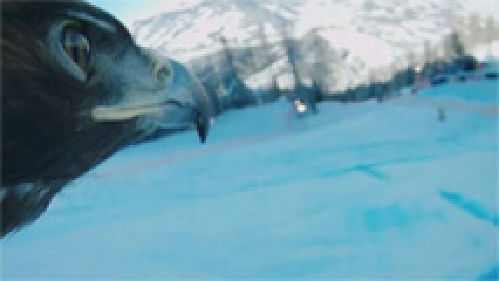 Cultura en Rtve.es: El rodaje del vuelo de las águilas en 'Hermanos del viento' | RTVE Play