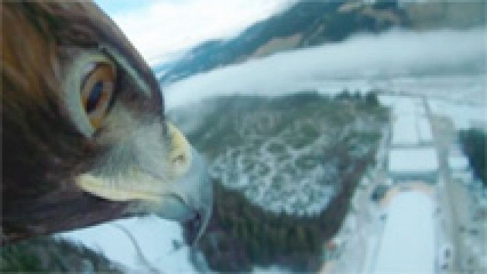 El vuelo del águila en 'Hermanos del viento'