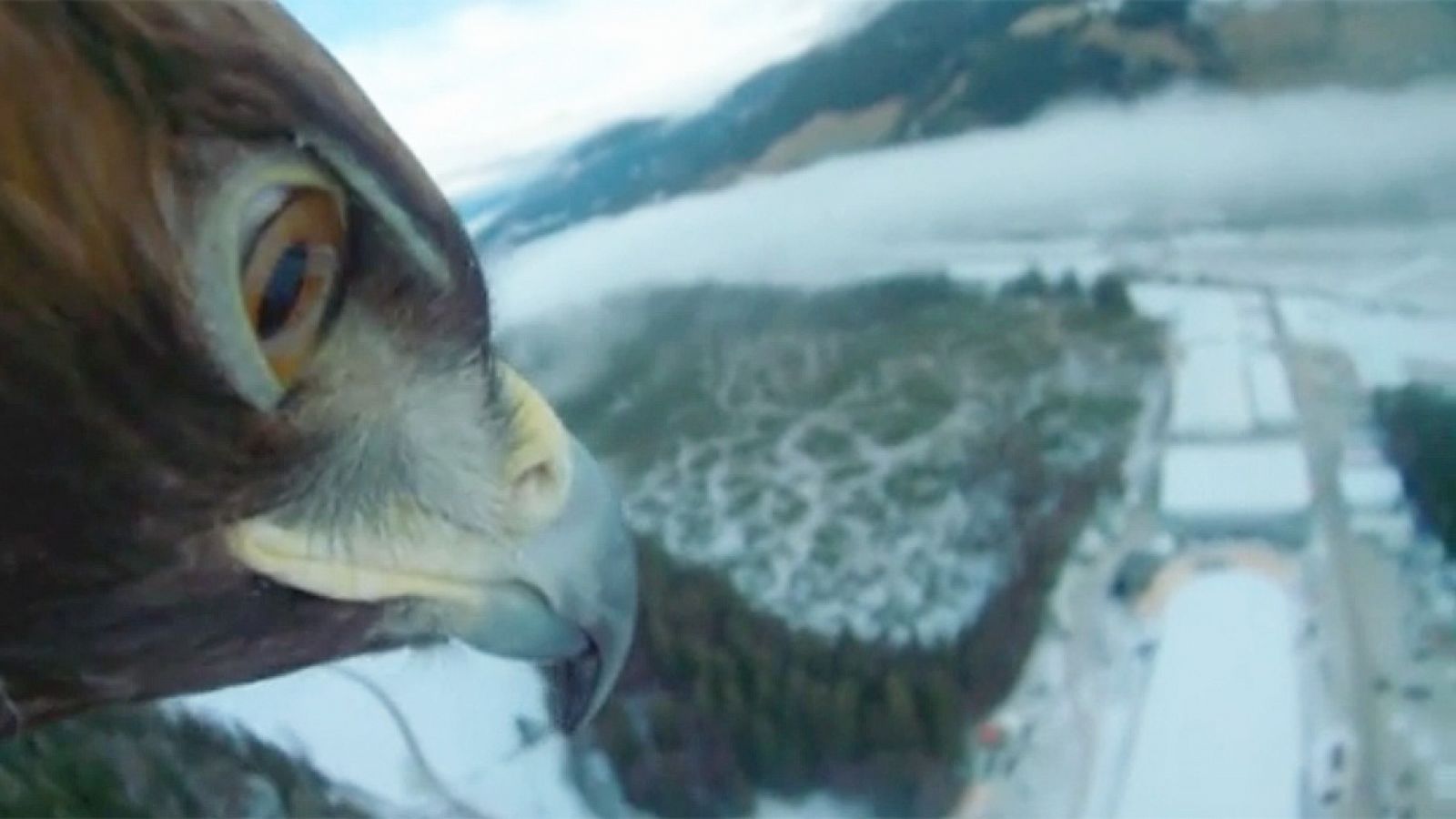 El vuelo del águila en 'Hermanos del viento'