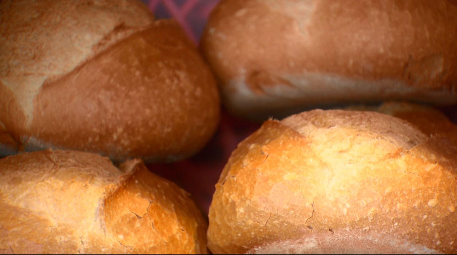 Tinc una idea - El pa de cada dia  - Avanç