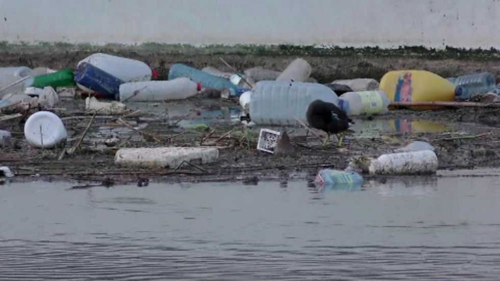 La Comunidad Valenciana en 2' - 08/06/17 - ver ahora