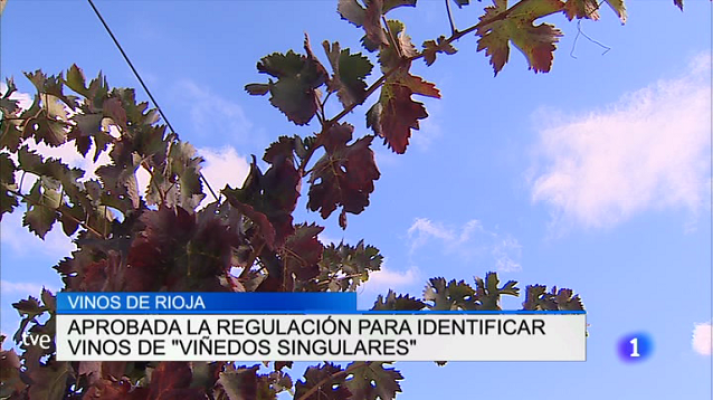 Informativo Telerioja - Telerioja en 2' - 08/06/17