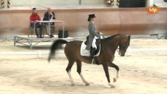 Hípica - Campeonato de España Absoluto Doma Clásica