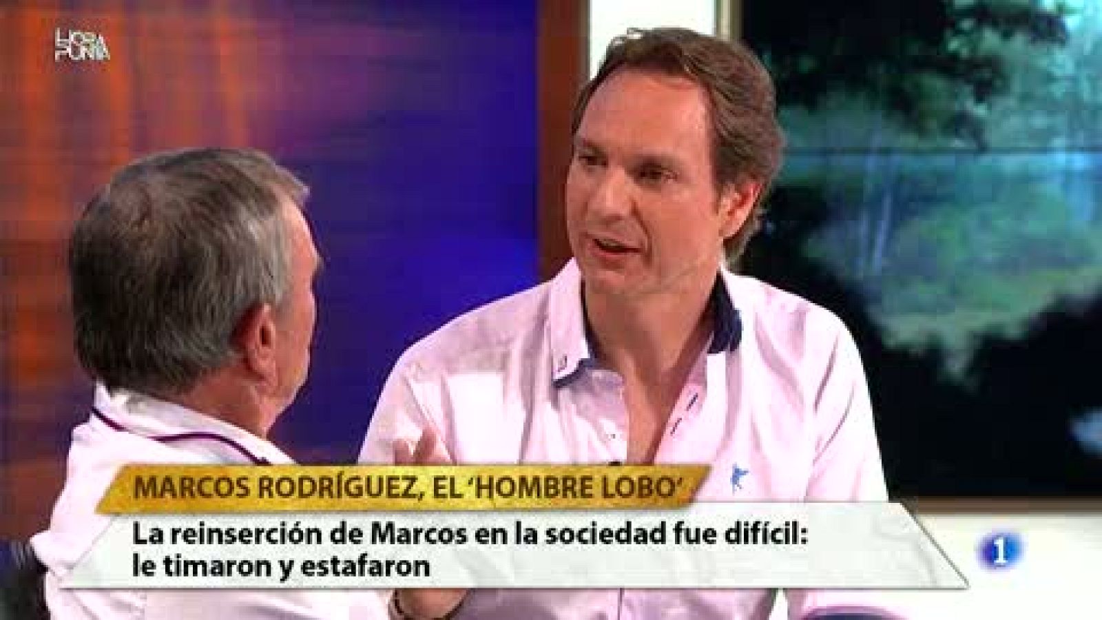 Hora Punta - Marcos Rodríguez, el `Hombre Lobo¿, asegura que vivir entre lobos ha sido la mejor época de su vida. Se considera un lobo más de la manada