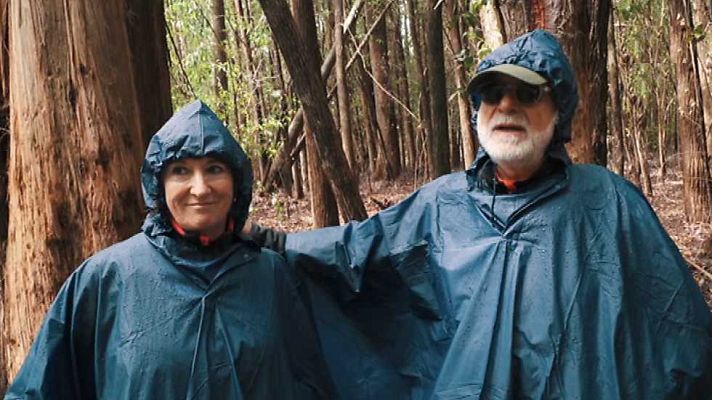 Evasión - T5 - Programa 11