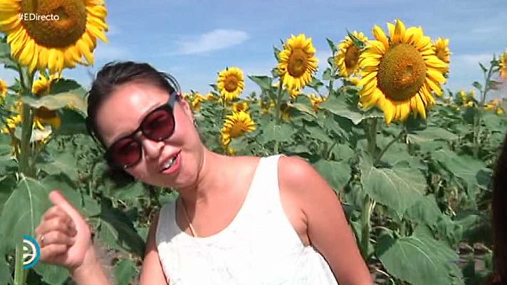 España Directo - España Directo - 09/06/17