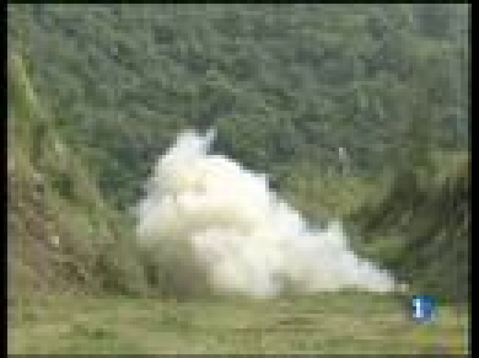 Unicef advierte a grupos armados colombianos sobre reclutamiento de niños