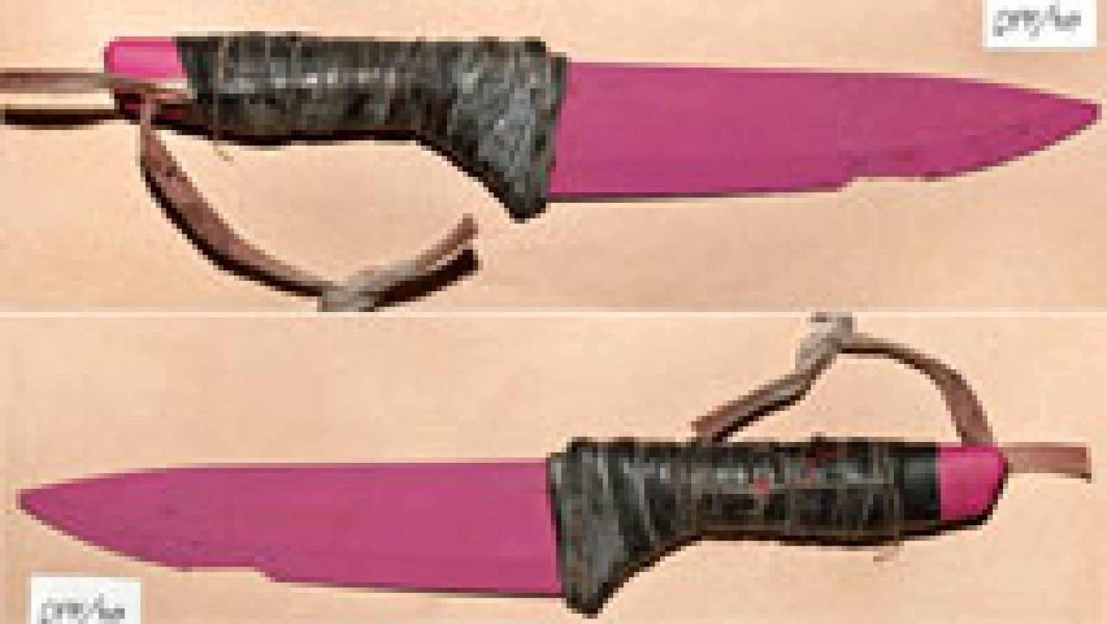 La autopsia confirma que Ignacio Echeverría murió por una puñalada en la espalda