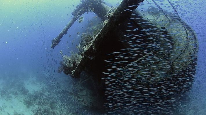 Las lágrimas negras del mar