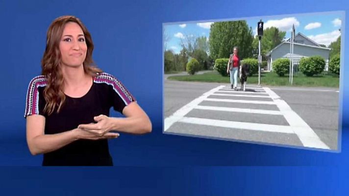 En lengua de signos - En lengua de signos - 11/06/17