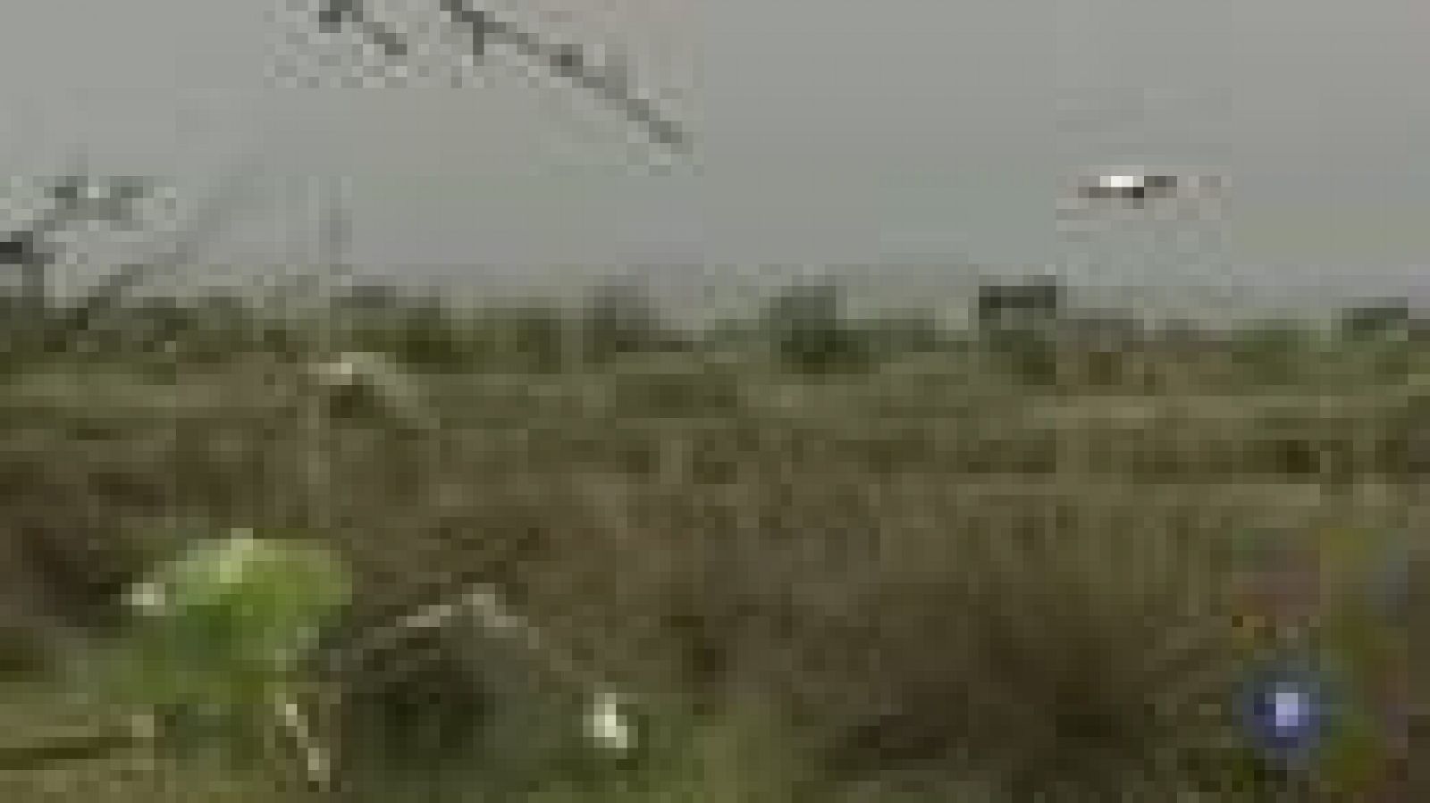 Segona edició de la Setmana de la Natura