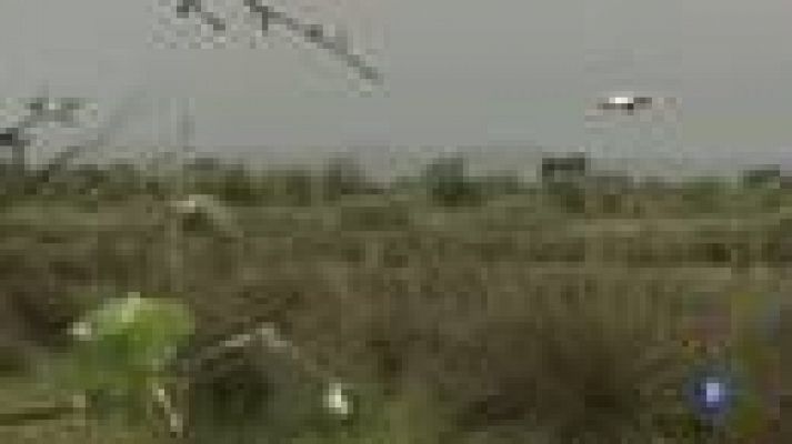 L'Informatiu - Segona edició de la Setmana de la Natura