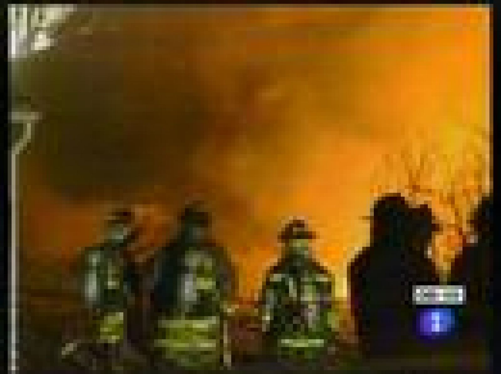 Al menos 49 muertos al estrellarse un avión en EE.UU. contra una vivienda | Ver