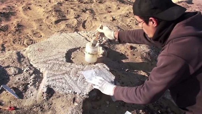 Universo UNED - UNED - 16/06/17