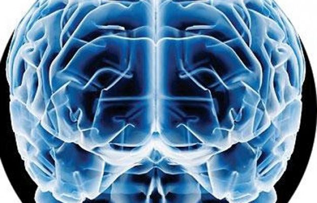  - El amor desencadena reacciones