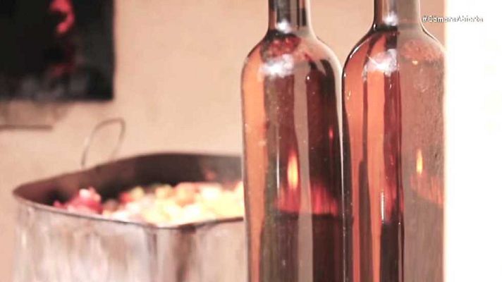 Cámara abierta - El Tenedor, Ashoka y Javier Reverte en 1minutoCOM