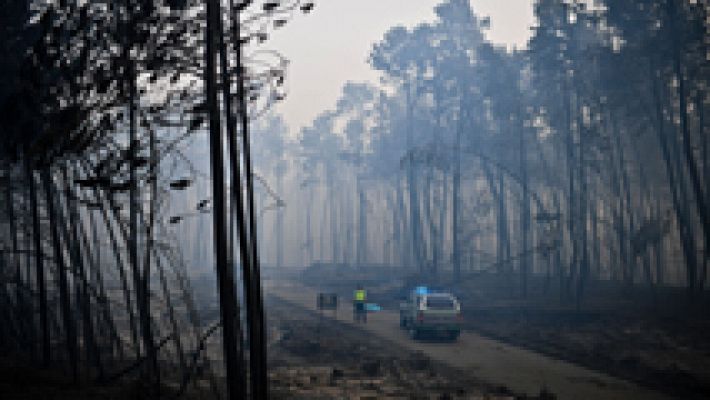 Decenas de muertos en un incendio en el centro de Portugal