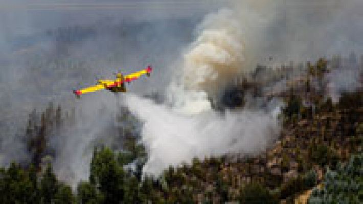 Telediario 1 - Incendios forestales, un grave problema en Portugal