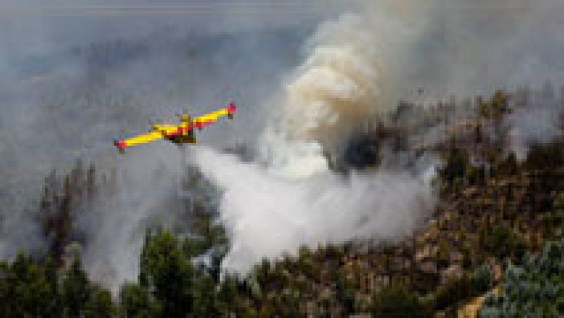 Incendios forestales, un grave problema en Portugal