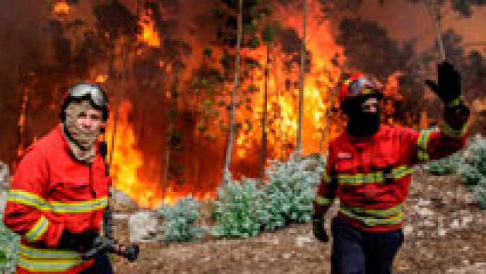 El impacto de un rayo en un árbol, causa del incendio