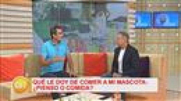 Cerca de ti - Cerca de ti - 19/06/2017