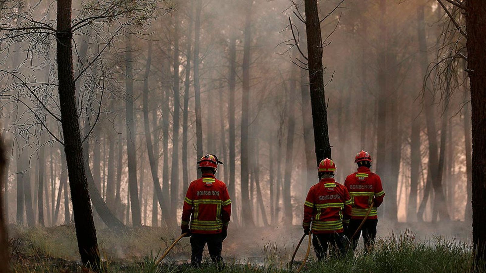 Controlado el 70 por ciento del incendio en Portugal