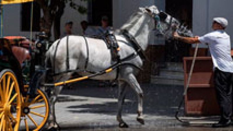 Las temperaturas volverán a ser muy altas en el interior peninsular 