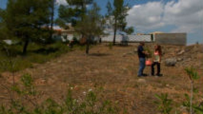 Trabajo selvícola para la prevención de incendios