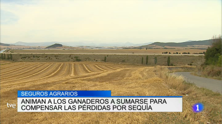 Informativo Telerioja - Informativo Telerioja 2 - 21/06/17